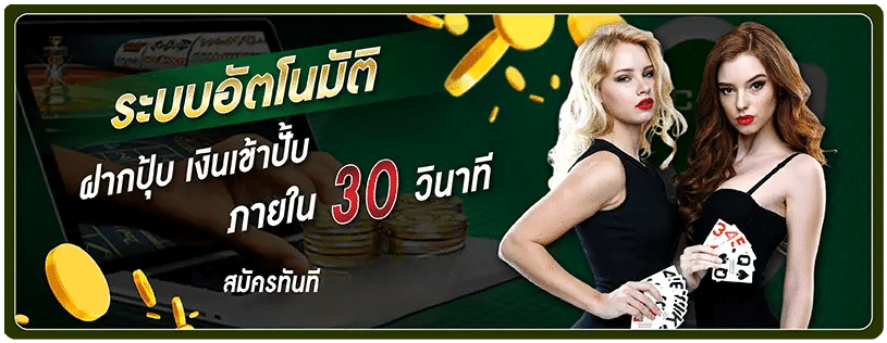 Tiger444 สมัคร ระบบออโต้ แทงมวยสดทุกคู่ดัง บิลไว จ่ายจริง