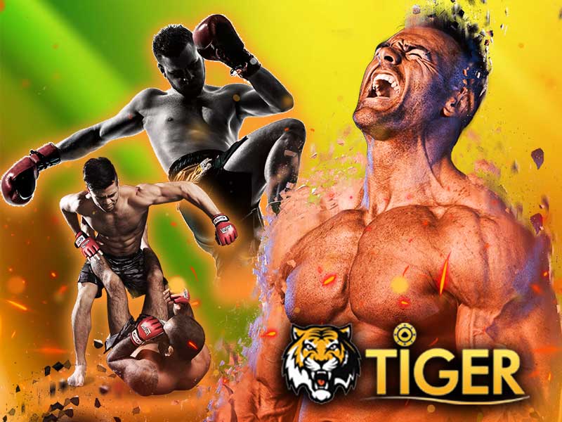 tigerชกเดือด